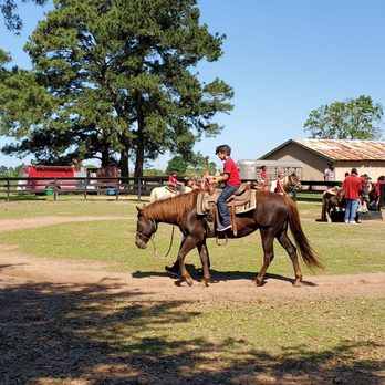 Oil Ranch - Pony and horse rides! - Amusement Parks Near Me - Hockley, Texas Oil Ranch - Pony and horse rides! - Amusement Parks Near Me - Hockley, Texas