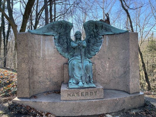 The Haserot Angel by null