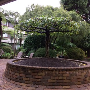 Millennium Hotel Rotorua - Court yard - Hotels Near Me - Rotorua, BOP