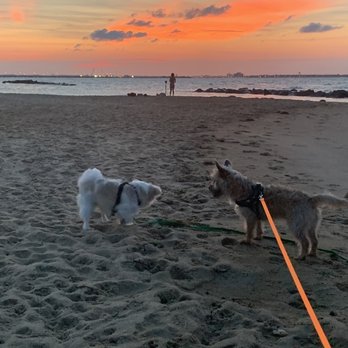 Willoughby Beach - Beaches Near Me - Norfolk, Virginia