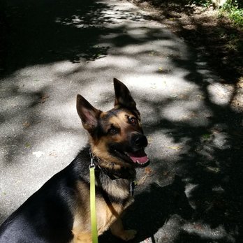 Broadneck Park - Trail - Dog Parks Near Me - Annapolis, Maryland Broadneck Park - Trail - Dog Parks Near Me - Annapolis, Maryland