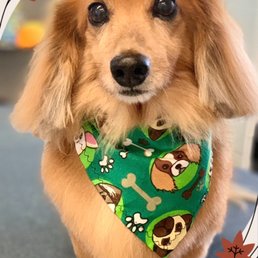 Kerri even provided this great picture for us electronically and a wallet sized copy too! Kerri even provided this great picture for us electronically and a wallet sized copy too!