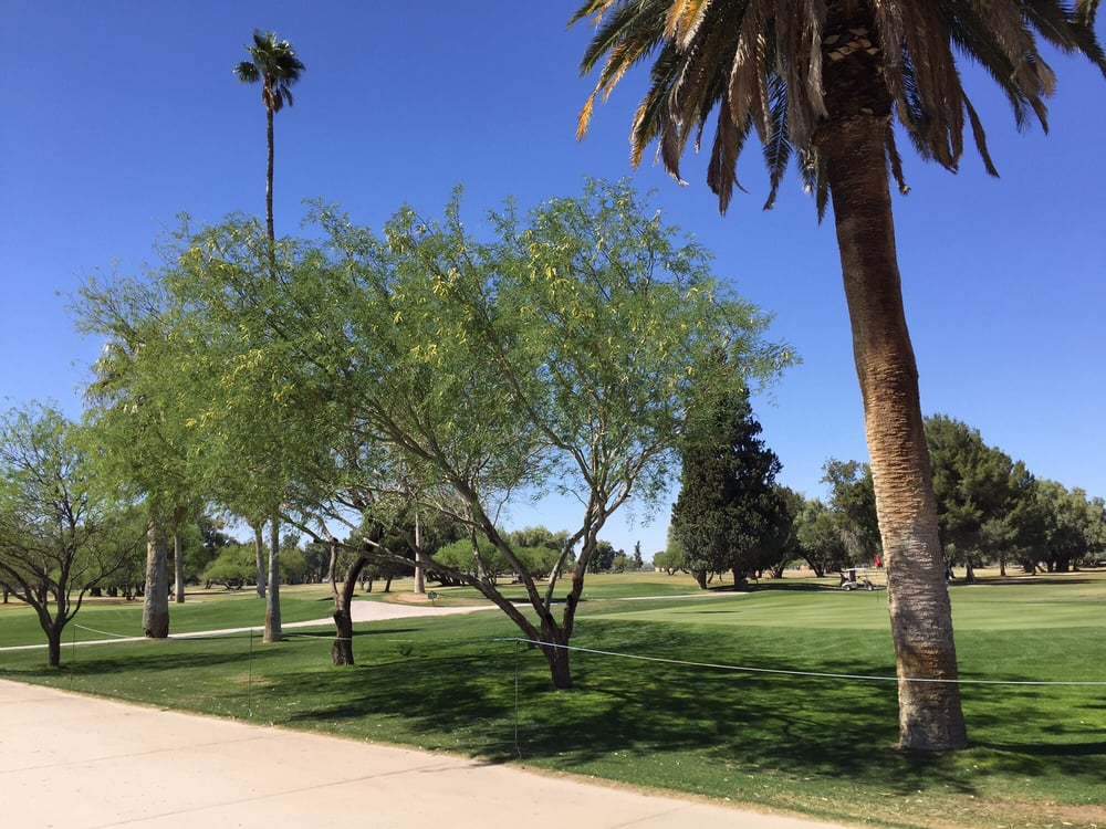 EL RIO GOLF COURSE 10 Reviews Golf 1400 W Speedway Blvd Tucson
