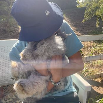 Maui Alpaca - These angora rabbits are cuddly too. - Attraction Farms Near Me - Makawao, Hawaii Maui Alpaca - These angora rabbits are cuddly too. - Attraction Farms Near Me - Makawao, Hawaii