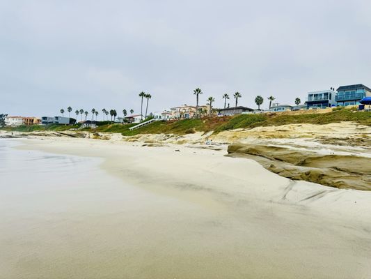 Windansea Beach by null