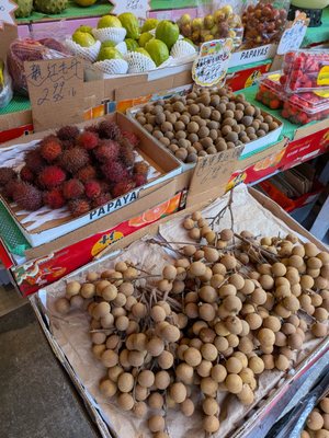 Fruitful Dreams by null