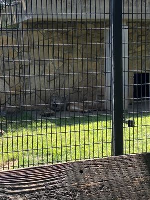 Abilene Zoo by null