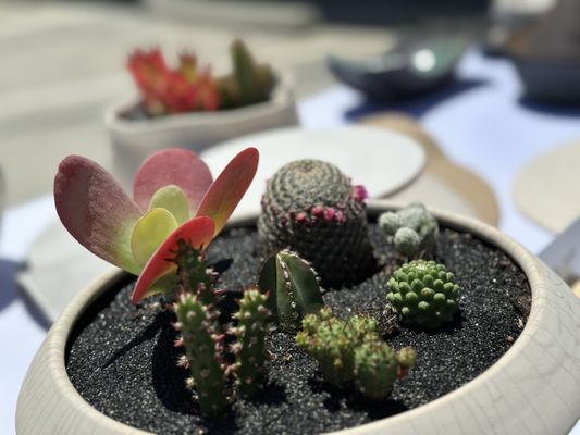 Match Stoneware by null