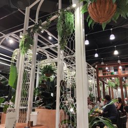 The Garden