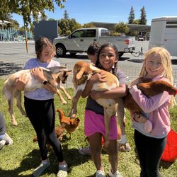 Little Reds Barnyard Friends