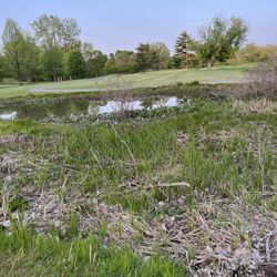 Willow Metro Park