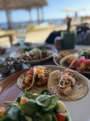 Don Manuel's by null