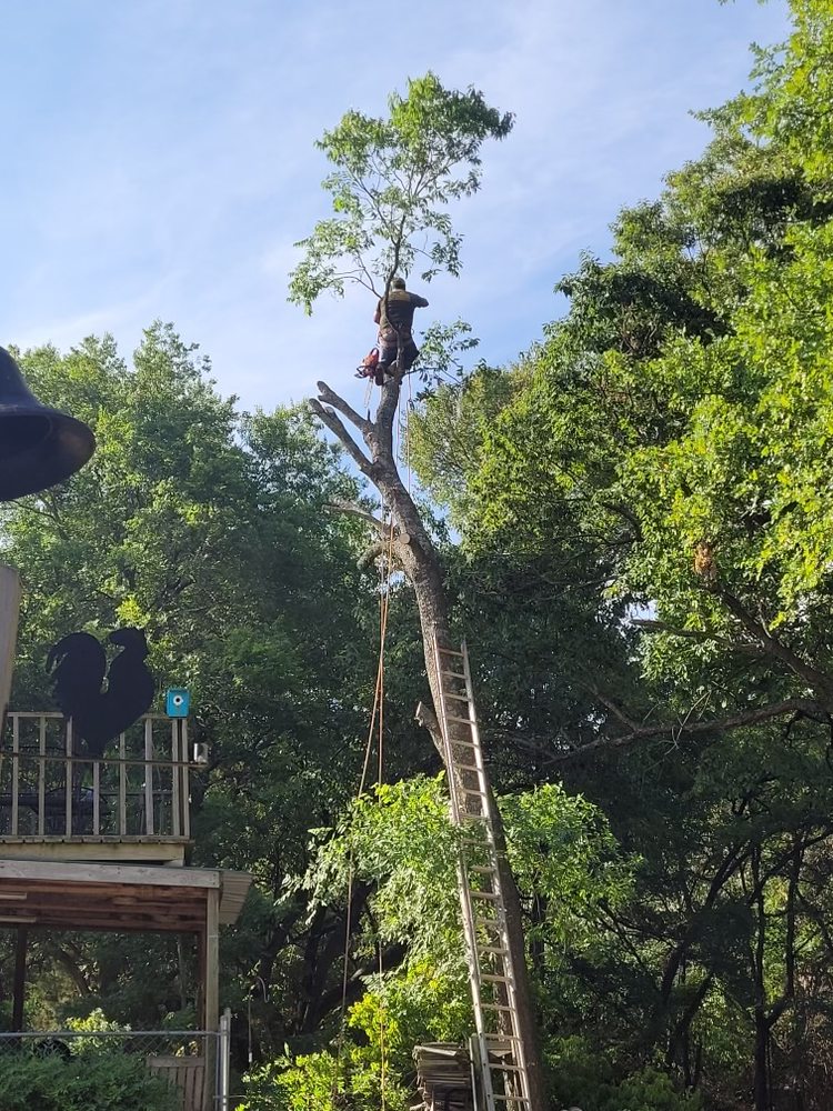 Slide of Lone Star Tree & Roofing Services