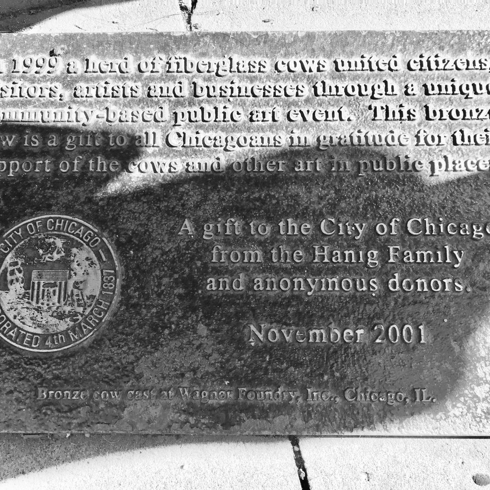 The Bronze Cow Statue - The Placard detailing the History of The Bronze Cow Statue next to it - Public Art Near Me - Chicago, Illinois The Bronze Cow Statue - The Placard detailing the History of The Bronze Cow Statue next to it - Public Art Near Me - Chicago, Illinois
