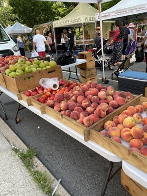 Forest Hills Greenmarket by null