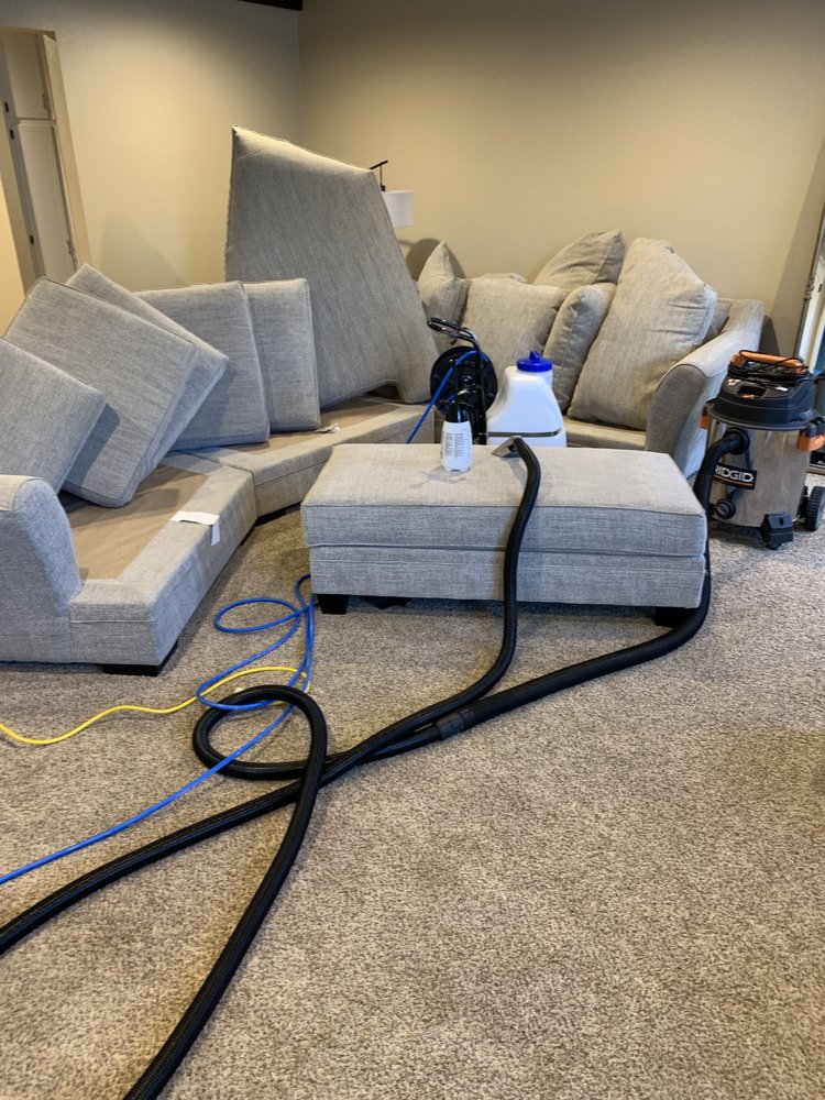 APPOLLONS CARPET CLEANING Updated July 2024 61 Photos & 39 Reviews