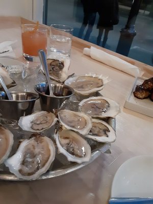 North Beacon Oyster by null