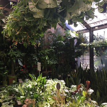 Sunset Nursery - Nurseries & Gardening Near Me - Los Angeles, California Sunset Nursery - Nurseries & Gardening Near Me - Los Angeles, California
