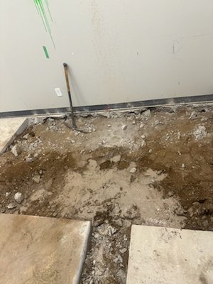 IBP SERVICES on Yelp