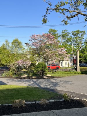 Scarlet Oak Tavern by null