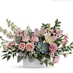 Image on their website