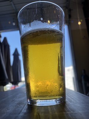 Bluebonnet Beer Company by null
