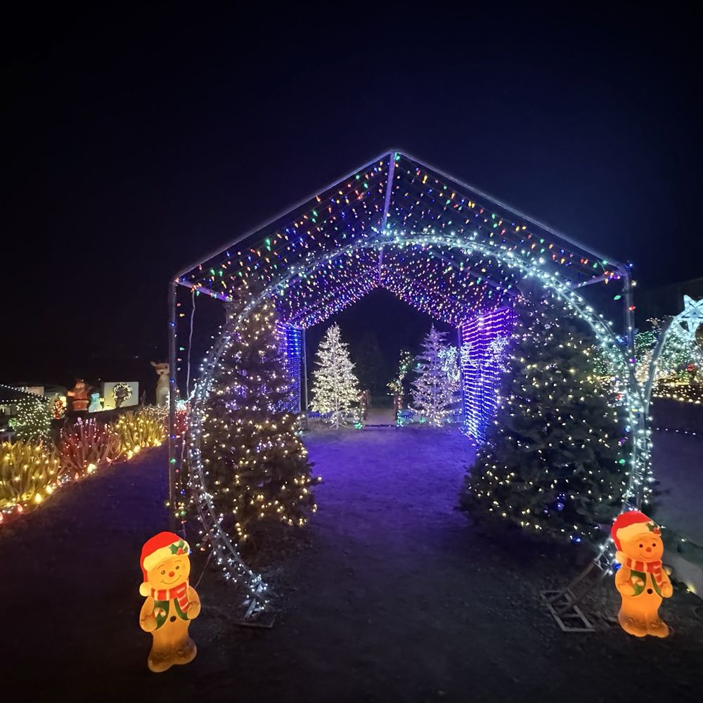 Igloo Wonderland - Kids Activities Near Me - Murrieta, California Igloo Wonderland - Kids Activities Near Me - Murrieta, California