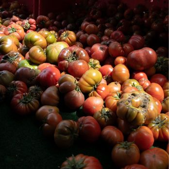 Cucina Migrante - nutritional produce doesn't need to look flawless to be considered beautiful - Personal Chefs Near Me - San Diego, California Cucina Migrante - nutritional produce doesn't need to look flawless to be considered beautiful - Personal Chefs Near Me - San Diego, California