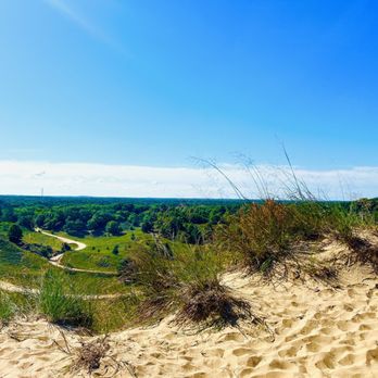 Saugatuck Dune Rides - The view - Tours Near Me - Saugatuck, Michigan