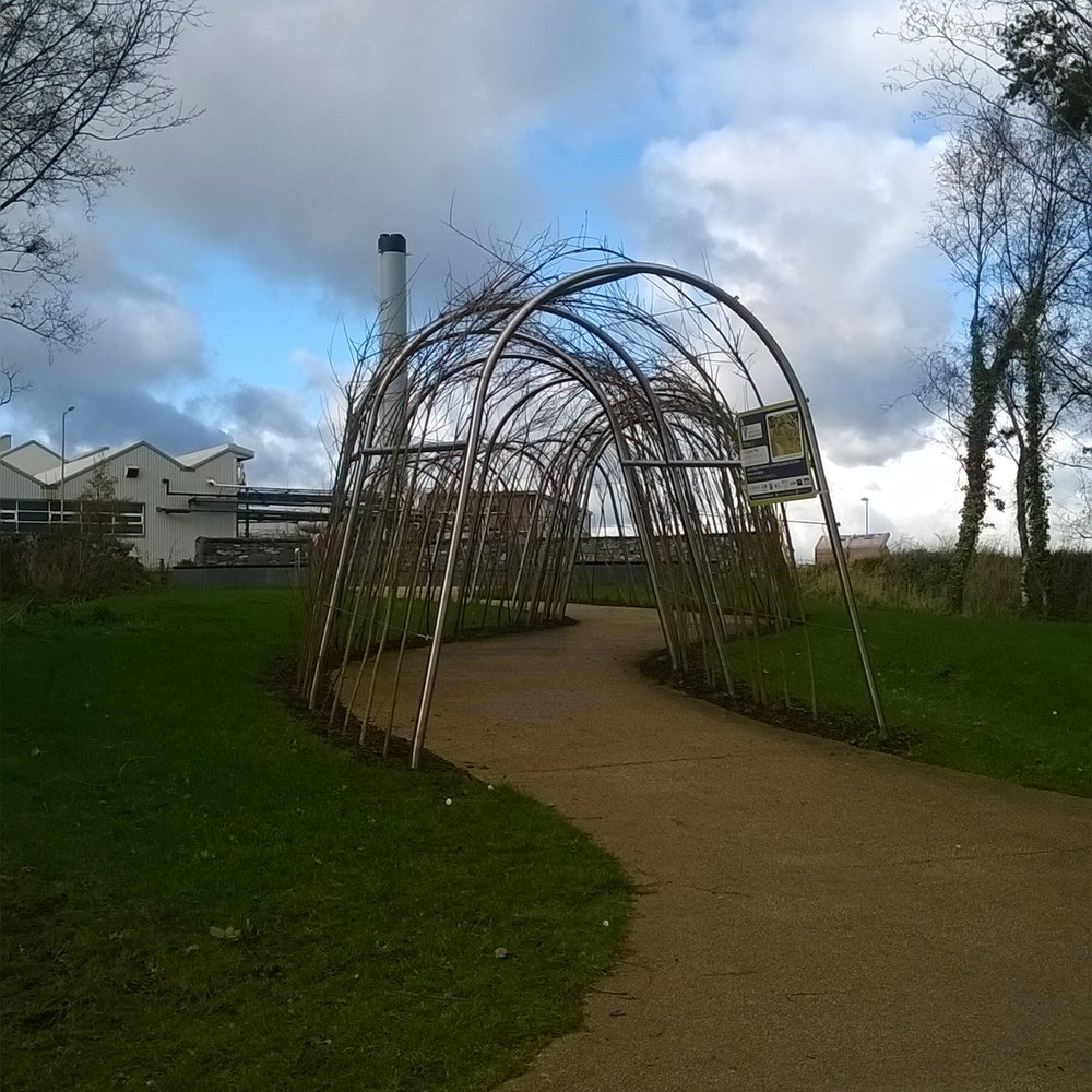 Victoria Park - Flower arch - Parks Near Me - Belfast, BFS