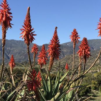 Meditation Mount - Meditation Centers Near Me - Ojai, California Meditation Mount - Meditation Centers Near Me - Ojai, California