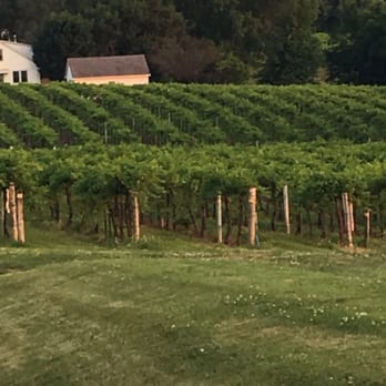 Edelweiss Guest House - Vineyards all around Augusta - Bed & Breakfast Near Me - Augusta, Missouri