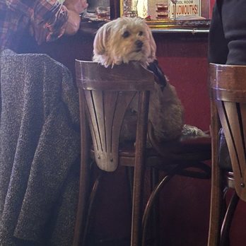 The Colorado Bar - Look this cutie at the bar - Dive Bars Near Me - Pasadena, California The Colorado Bar - Look this cutie at the bar - Dive Bars Near Me - Pasadena, California