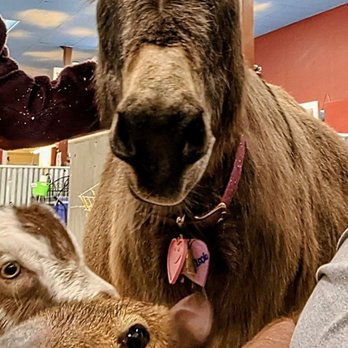 Big Red’s Barn - Petting Zoos Near Me - Coeur d'Alene, Idaho