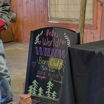 The Ohio Bird Sanctuary - Willow Info. - Zoos Near Me - Mansfield, Ohio The Ohio Bird Sanctuary - Willow Info. - Zoos Near Me - Mansfield, Ohio