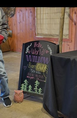 Ohio Bird Sanctuary by null