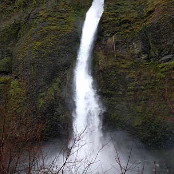 Horsetail Falls - Hiking Near Me - Cascade Locks, Oregon