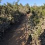 Photo of Los Osos Elfin Forest