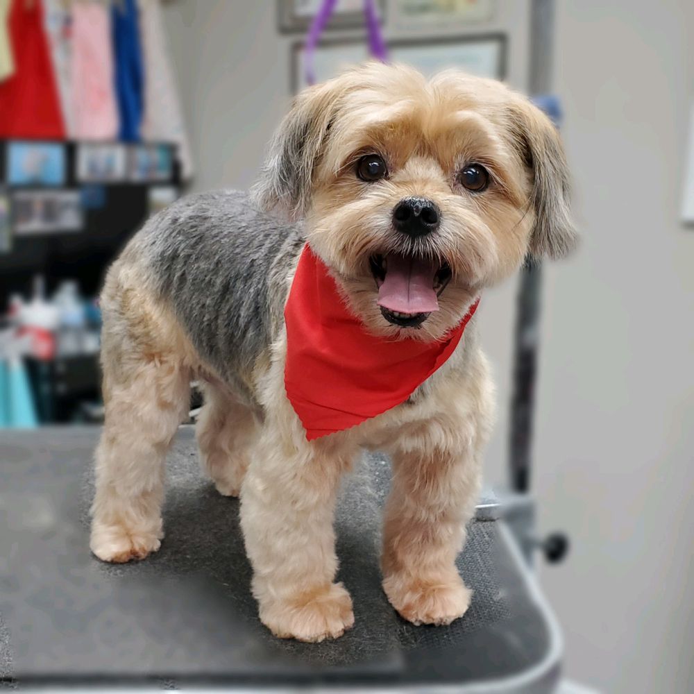 BONES, BEDS AND BISCUITS Updated August 2024 17 Photos 45 Ronald