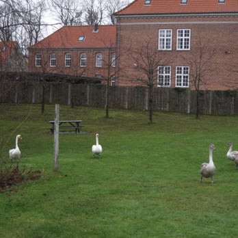 Nyborg Slot - Museums Near Me - Nyborg, 83