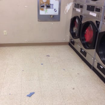 Laundry Mat 4 - Nasty. They emptied the lint and threw it in the floor. The attendant. - Laundromat Near Me - Rogers, Arkansas Laundry Mat 4 - Nasty. They emptied the lint and threw it in the floor. The attendant. - Laundromat Near Me - Rogers, Arkansas