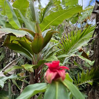 Hike Maui - Tours Near Me - Kahului, Hawaii Hike Maui - Tours Near Me - Kahului, Hawaii