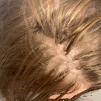 Hair Angels Extensions Salon - Different color bonds because the girl couldn't get the glue gun to work and freaked out.. just started using another color... not cool - Hair Extensions Near Me - Edmonton, Alberta Hair Angels Extensions Salon - Different color bonds because the girl couldn't get the glue gun to work and freaked out.. just started using another color... not cool - Hair Extensions Near Me - Edmonton, Alberta