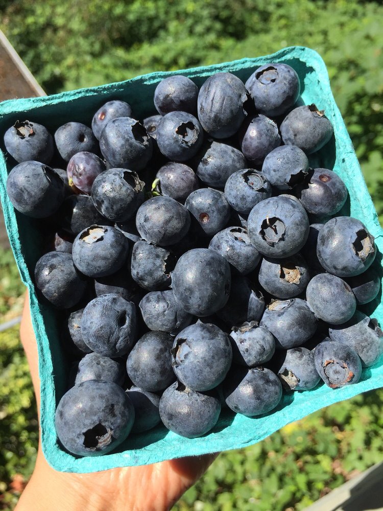 Greenville Farms Logo