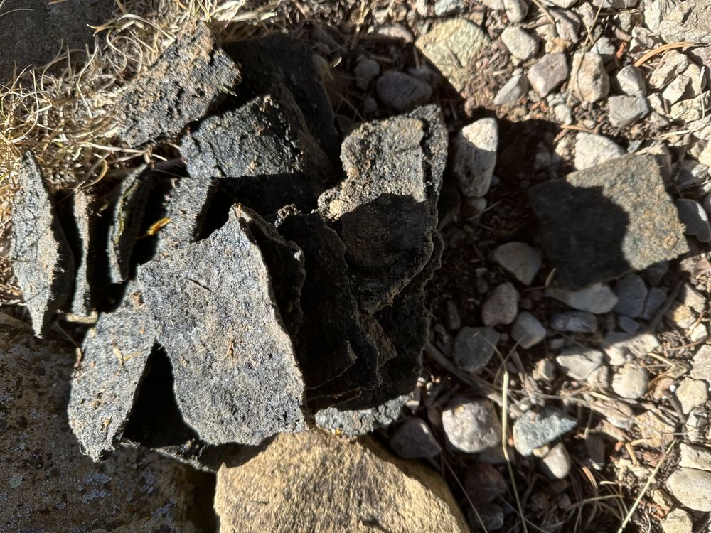 Slide of Bonito River Services