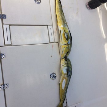 Bouncer's Dusky 33 - Fishing Near Me - Miami Beach, Florida