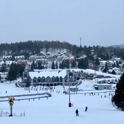 Mont Habitant - Mont Habitant!