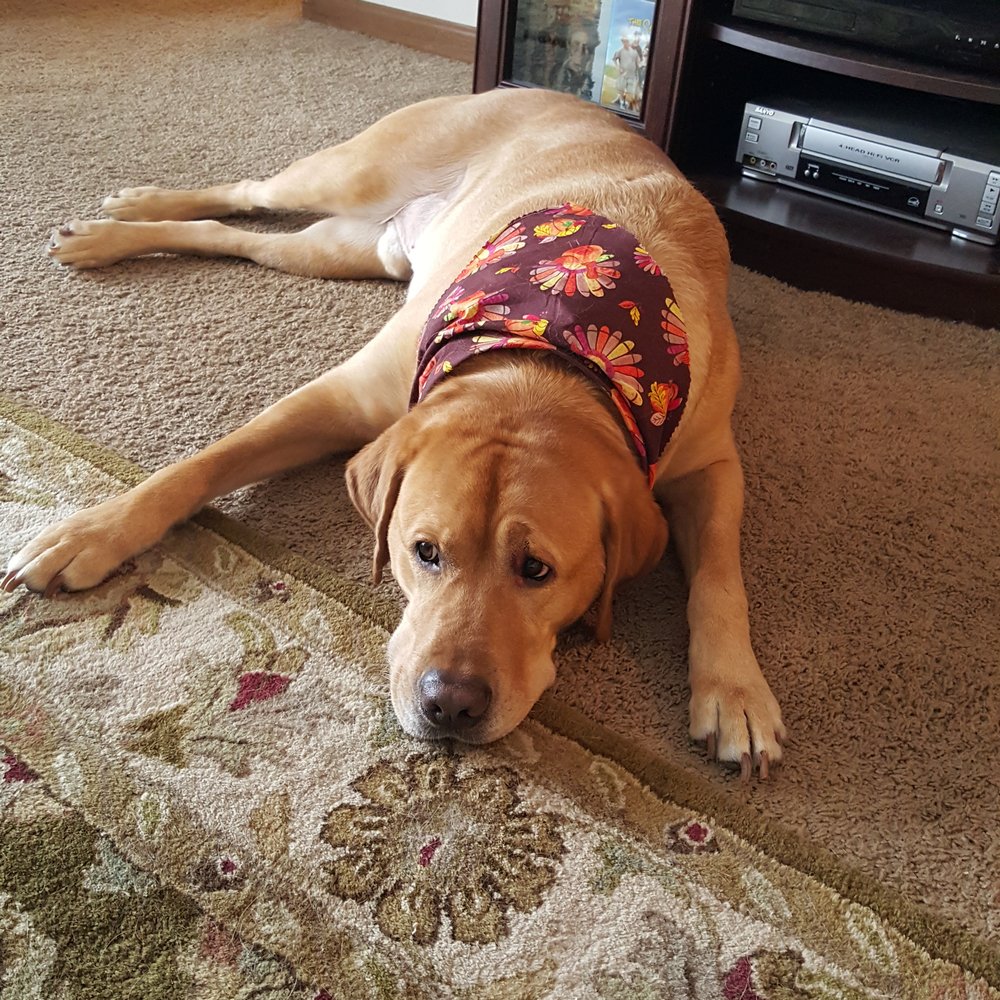 He came home smelling so good!! Riley has been going there since he was 3 months old and i absolutely love the staff!!