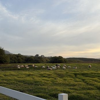 Mission Ranch - Venues & Event Spaces Near Me - Carmel, California Mission Ranch - Venues & Event Spaces Near Me - Carmel, California