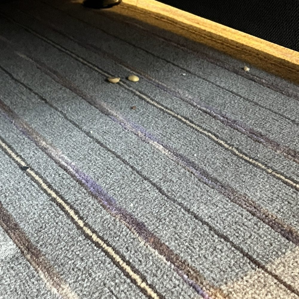 Premier Inn - Peanuts under the bed! Absolutely disgusting! - Hotels Near Me - Southwark, XGL